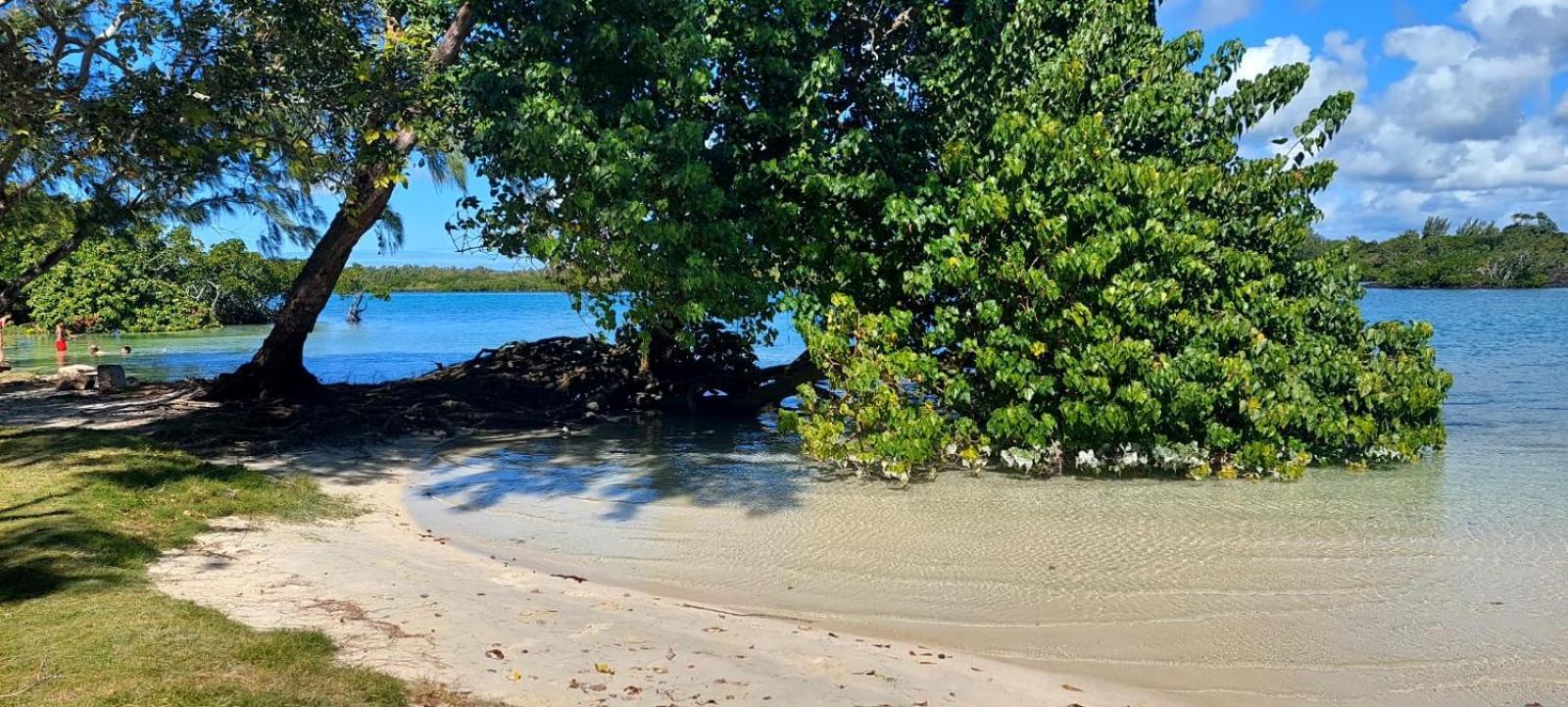 Sunshine Residence Holiday Apartments Mauritius Poste Lafayette Esterno foto